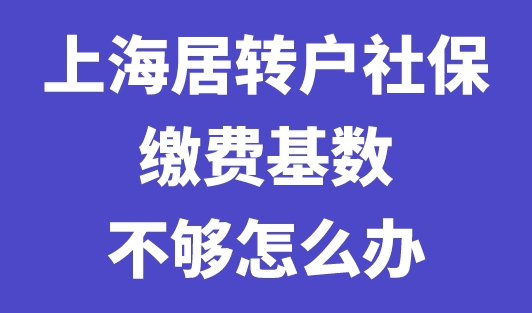 上海居转户社保缴费基数不够怎么办？上海社保网上服务平台实操细节！