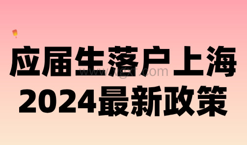 应届生落户上海2024最新政策